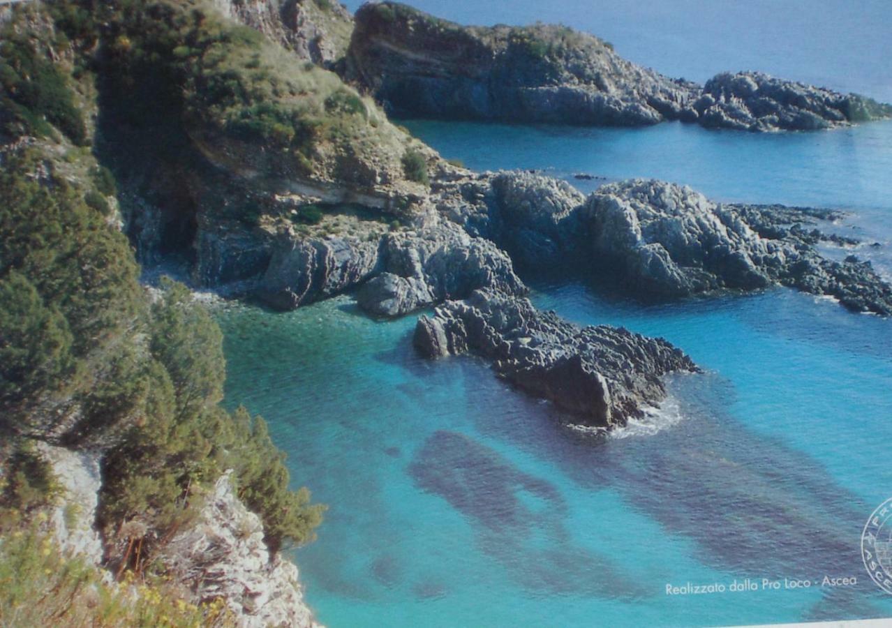 La Voce Del Mare Panzió Casal Velino Kültér fotó